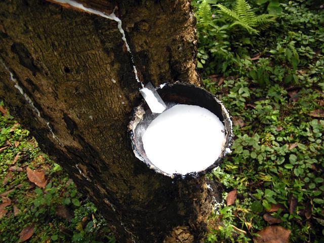 Rubber additives market weekly report 2024.6.10-6.16